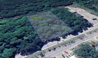 Foto de inmueble en  , Col. Chetumal (Internacional de Chetumal) C.P. 77048, Othón P. Blanco