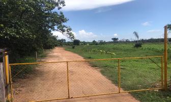 Foto de inmueble en  , Col. Chetumal (Internacional de Chetumal) C.P. 77048, Othón P. Blanco