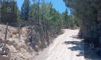 Foto de inmueble en  , Col. Chihuahua Centro C.P. 31000, Chihuahua