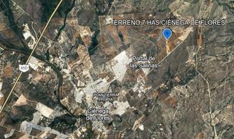 Foto de inmueble en  , Col. Ciénega de Flores Centro C.P. 65550, Ciénega de Flores