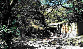 Foto de inmueble en Cipres, Col. Los Ocotes C.P. 62520, Tepoztlán