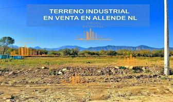 Foto de inmueble en  , Col. Ciudad Allende C.P. 67350, Allende