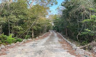 Foto de inmueble en  , Col. Ciudad Chemuyil C.P. 77774, Tulum