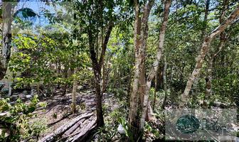Foto de inmueble en  , Col. Ciudad Chemuyil C.P. 77774, Tulum
