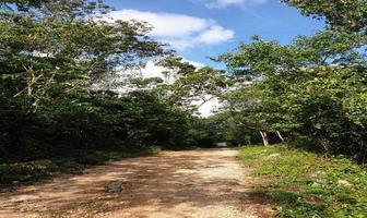 Foto de inmueble en  , Col. Ciudad Chemuyil C.P. 77774, Tulum