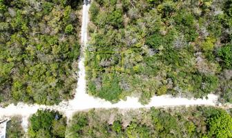 Foto de inmueble en Terreno en Venta Chemuyil, Col. Ciudad Chemuyil C.P. 77774, Tulum