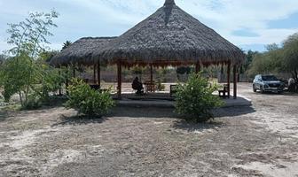 Foto de inmueble en  , Col. Ciudad Juárez C.P. 35180, Lerdo
