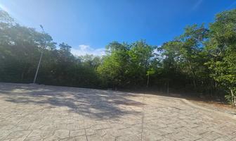 Foto de inmueble en  , Col. Ciudad Mayakoba C.P. 77724, Solidaridad