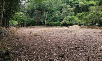 Foto de inmueble en  , Col. Coatepec Centro C.P. 91500, Coatepec