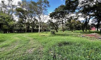 Foto de inmueble en  , Col. Coatepec Centro C.P. 91500, Coatepec