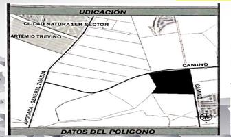 Foto de inmueble en  , Col. Colinas del Aeropuerto C.P. 66655, Pesquería