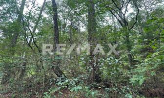 Foto de inmueble en Corral de Piedra, Col. Corral de Piedra C.P. 29299, San Cristóbal de las Casas