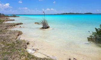 Foto de inmueble en costera de bacalar, Col. El Danto C.P. 77900, Bacalar