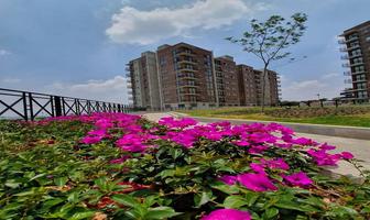 Foto de inmueble en  , Col. Cuajimalpa C.P. 05000, Cuajimalpa de Morelos