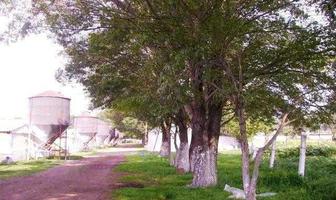 Foto de inmueble en  , Col. Cuaxoxoca C.P. 54786, Teoloyucan