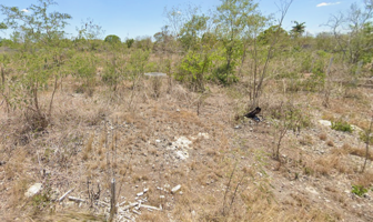 Foto de inmueble en 97357 Yaxché de Peón, Yuc., Col. Ucu C.P. 97357, Ucú