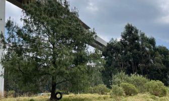 Foto de inmueble en Autopista México Toluca, Col. San Mateo Tlaltenango C.P. 05600, Cuajimalpa de Morelos