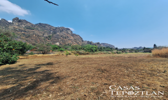 Foto de inmueble en Valle de Atongo, 62520 Tepoztlán, Mor., Col. Santo Domingo C.P. 62520, Tepoztlán