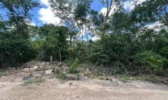 Foto de inmueble en Tulum, Q.R., Col. Tumben Kaa C.P. 77760, Tulum