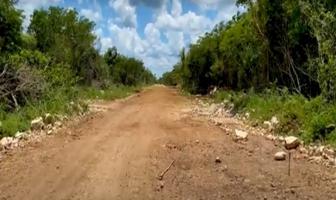 Foto de inmueble en 97600 Dzilam González, Yuc. #20Int. MZ 19 L24, Col. Dzilam Gonzalez C.P. 97600, Dzilam González