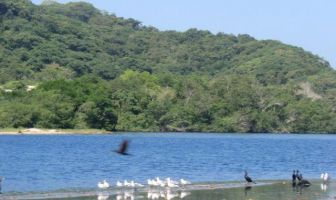 Foto de inmueble en laguna, Col. Chacahua C.P. 71814, Villa de Tututepec