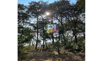 Foto de inmueble en  , Col. Del Bosque C.P. 62150, Cuernavaca