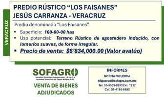 Foto de inmueble en PREDIO RUSTICO LOS FAISANES #-Int. -, Col. Jesús Carranza C.P. 96950, Jesús Carranza