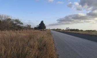 Foto de inmueble en Aldama Tamaulipas #8, Col. Matamoros C.P. 89670, Aldama