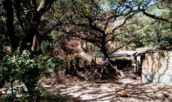Foto de inmueble en Ciprés 10, Col. Los Ocotes C.P. 62520, Tepoztlán
