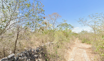 Foto de inmueble en 97357 Yaxché de Peón, Yuc., Col. Ucu C.P. 97357, Ucú