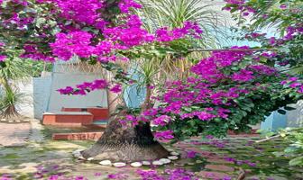 Foto de inmueble en Jardines de Palmira, Cuernavaca, Mor., Col. Lomas de Jiutepec C.P. 62566, Jiutepec