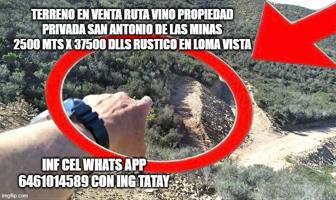 Foto de inmueble en SAN ANTONIO DE LAS MINAS TERRENO EN VENTA DE 2500 MTS RUTA V, Col. San Antonio de Las Minas C.P. 22766, Ensenada