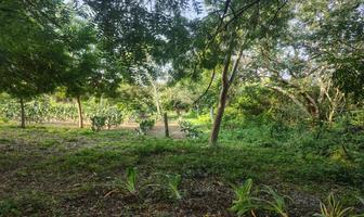 Foto de inmueble en Ejido EL Contadero, Col. Ejido El Contadero C.P. 89604, Altamira