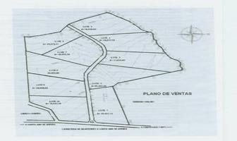 Foto de inmueble en  , Col. Ejido Juárez C.P. 67256, Juárez
