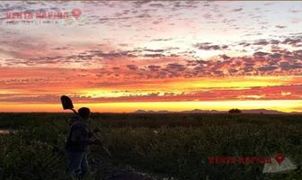 Foto de inmueble en  , Col. El Coloradito C.P. 81166, Guasave