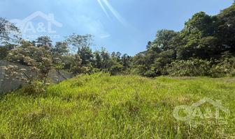 Foto de inmueble en  , Col. El Haya C.P. 91073, Xalapa