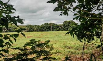 Foto de inmueble en  , Col. El Jobo (Escribano) C.P. 92042, Tampico Alto