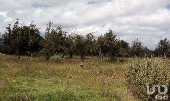 Foto de inmueble en El lindero, Col. Analco de Ponciano Arriaga (Santa Cruz Analco) C.P. 74137, San Salvador el Verde
