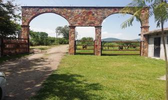 Foto de inmueble en El Mogote Guerrero, Col. El Mogote C.P. 40390, Pilcaya