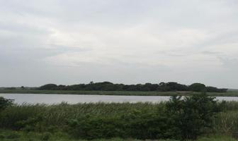 Foto de inmueble en  , Col. El Ojital C.P. 89364, Tampico
