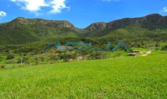 Foto de inmueble en el peñon, Col. Temascaltepec de González C.P. 51300, Temascaltepec