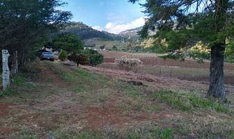 Foto de inmueble en El porvenir, Col. Campo Santiago C.P. 29419, Teopisca