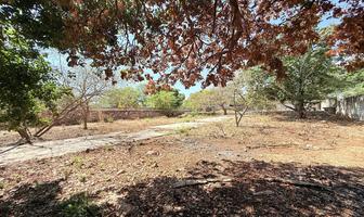 Foto de inmueble en  , Col. El Roble Agrícola C.P. 97295, Mérida