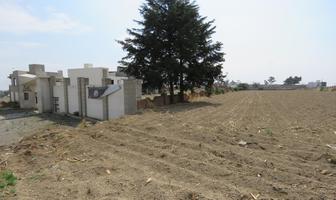 Foto de inmueble en , Col. El Tarimoro C.P. 52236, Calimaya