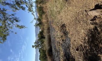 Foto de inmueble en El Tepetate, Col. San Juan Cosala C.P. 45820, Jocotepec