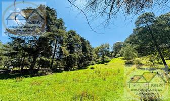 Foto de inmueble en Terrenos en Venta en Bosque de Ciclo Verde (las Vigas Veracruz), Col. Catalina C.P. 91330, Las Vigas de Ramírez