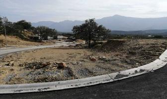 Foto de inmueble en EL VIZCAINO, Col. Yerbaniz C.P. 67302, Santiago