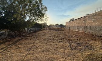 Foto de inmueble en  , Col. El Zapote C.P. 78430, Soledad de Graciano Sánchez