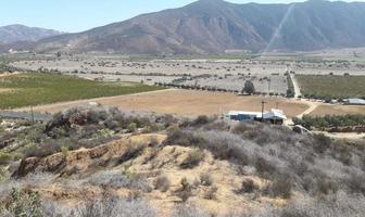 Foto de inmueble en Encuentro Guadalupe, Col. Francisco Zarco (Valle de Guadalupe) C.P. 22750, Ensenada