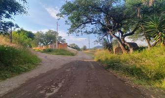 Foto de inmueble en Ex-Hacienda Xalpatlalco y Cabrera, Col. Cabrera C.P. 74360, Atlixco